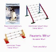 Lilla kaninhoppnings-paketet - 2 hinder plus bok