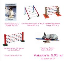 Stora kaninhoppnings-paketet - 4 hinder plus bok