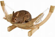 Tropical Relaxation Hammock