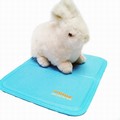 Snugglesafe Cool Pad XL - Kyls ner när djuret sitter på den!
