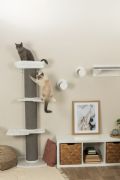 Wallie Klätterbana för katt - Väggmontage