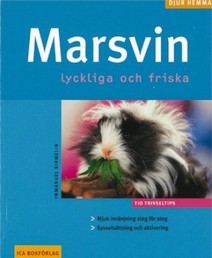 Marsvin - Lyckliga och friska