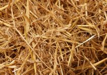 Teddytassens Närproducerade ekologiska halm ca 30L