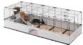 Modular Förlängningsbar Marsvinsbur XXL 179 cm
