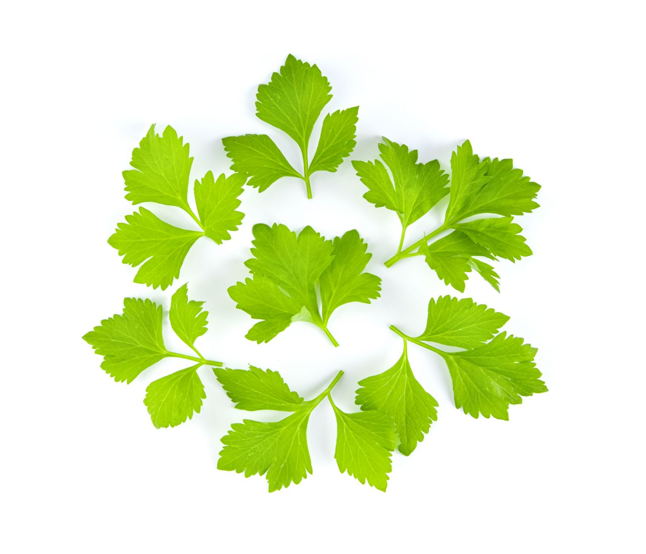 Persiljestjälkar 100g