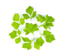 Persiljestjälkar 100g