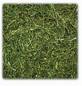 Persiljestjälkar 150g