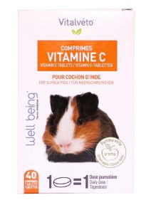 C-Vitamin tabletter med äppelsmak 40st